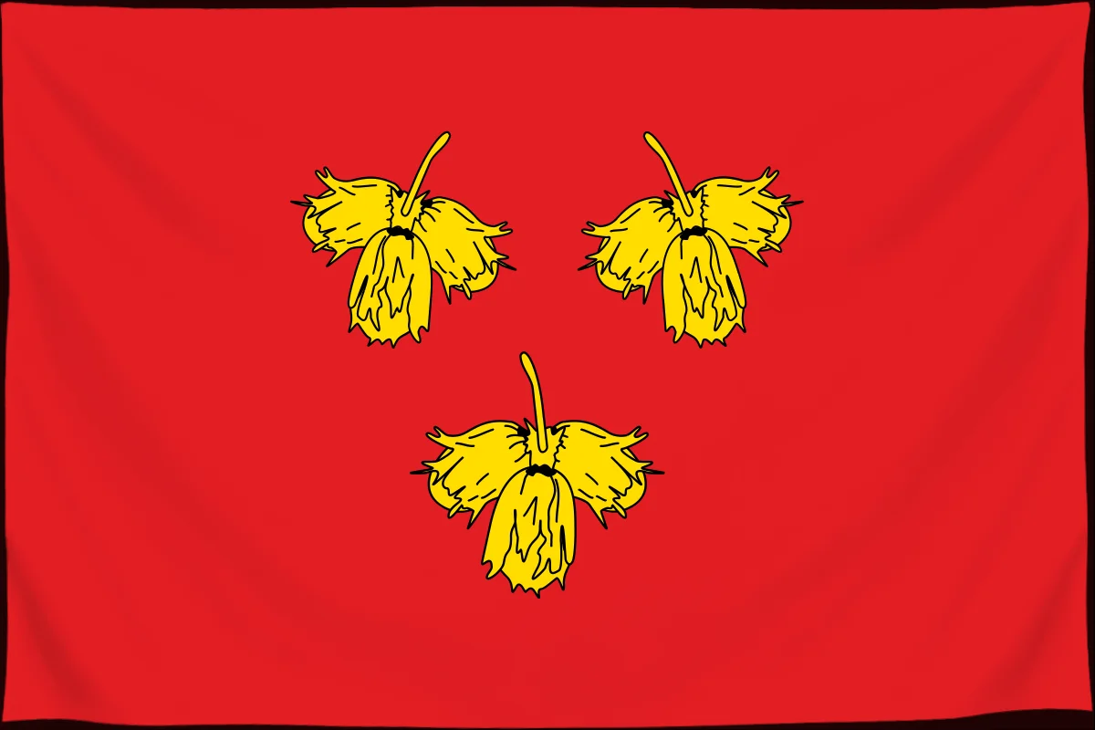 Флаг: Красненский район